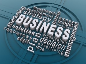 BusinessPlansPro Pic 3 - business plans pro