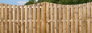 Brilliant Fencing Pic 2 - Decorative