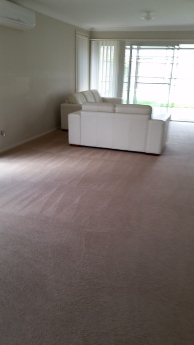 Clean Squad Pic 1 - Carpet Steam Cleaning