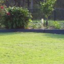 Laurie's Lawn Care Pic 2