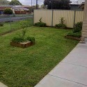 Laurie's Lawn Care Pic 1 - lawn mowing homes developments strata real estate lawns