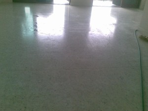 Aus-Pol Terrazzo Restorations Pic 2 - Before