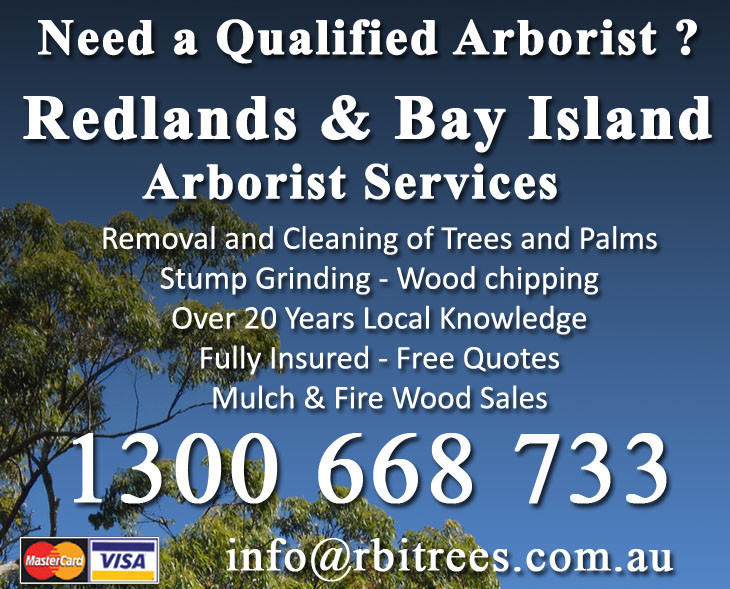 Redlands & Bay Islands Arborist Services Pic 1