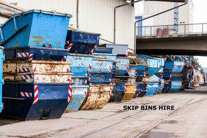 Skip Bins Hire Pic 2