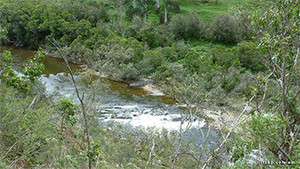 Little River Inn - Ensay Pic 2 - Tambo River near Ensay on the Great Alpine Rd