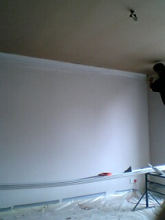 Le Port Trading & Plastering Services Pic 1 - Cornice