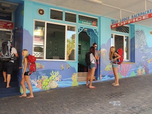 ReefLodge Backpackers Townsville Pic 4 - Front of the backpackers is covered in colorful paintings of fish coral and reef scenes