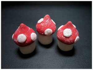 Decorate It Yourself Pic 4 - Mushroom icing decorations