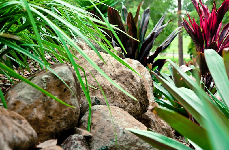 Coastal Landscape Supplies Pic 1 - Bush Rocks