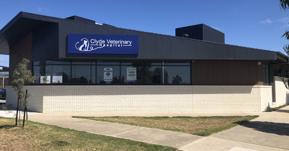 Clyde Veterinary Hospital Pic 1 - Clyde Veterinary Hospital Just across the road from Woolworths at Selandra Rise shops