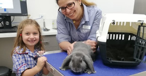 Clyde Veterinary Hospital Pic 2 - Dr Irene Mitry with friends