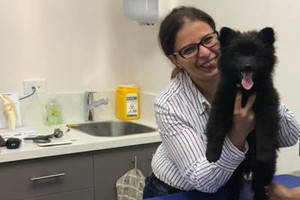 Clyde Veterinary Hospital Pic 3 - Dr Irene Mitry with Bear