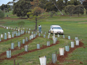 West Golf Club Bacchus Marsh Pic 4 - tree planting between the 12th 13th fairways