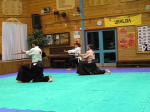 Fudoshin Bujutsu- NSW Pic 4 - Weaponry trading at Tuncurry