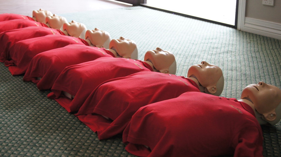 First Aid Alive in Rockhampton, QLD, First Aid Training TrueLocal