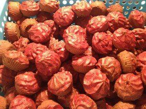 omidog Pic 2 - Doggy Cupcakes grain preservative free delicious nutritious dog treats they all adore