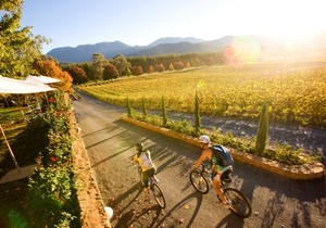 Feathertop Winery Pic 2