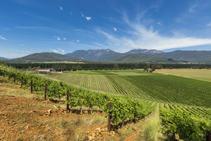 Feathertop Winery Pic 4