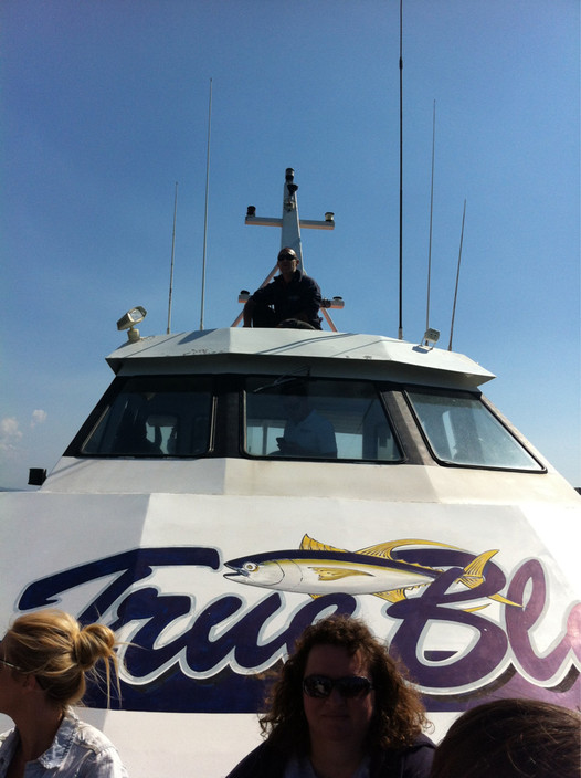 Merimbula Marina Pic 1 - The guys on the roof keep an eye out for whales