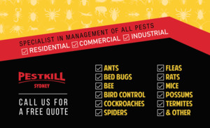 Pest Kill Sydney Pic 3 - Business card BACK