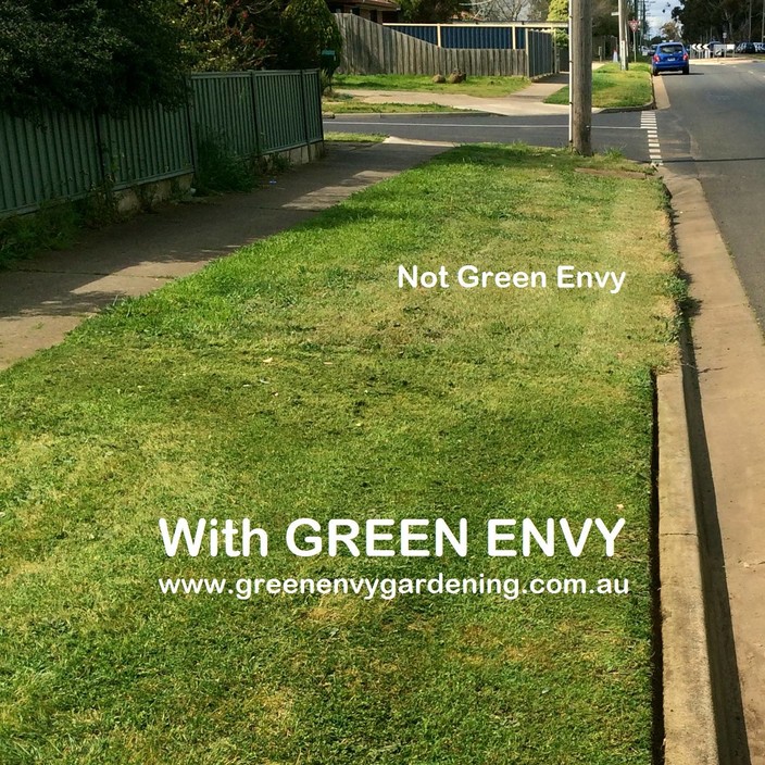 Green Envy Gardening Pic 1 - Professional and qualified