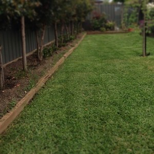 Green Envy Gardening Pic 3 - Instant turf and landscaping