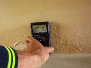 Castlemaine Pre Purchase Property & Building Inspections Pic 5 - High moisture readings on internal wall can be costly to fix