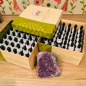 Grounded Goodness - Julie Williams Pic 4 - Australian Bush Flower Remedies for emotionalspiritual support