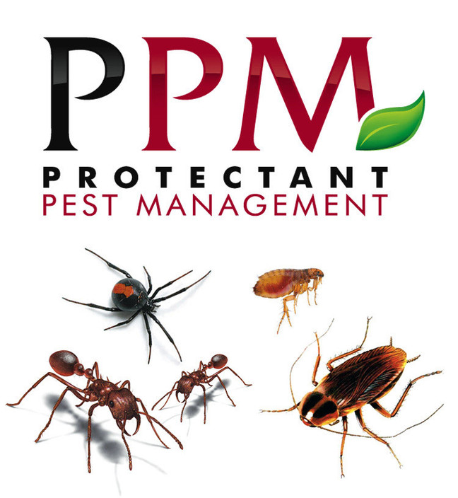 Protectant Pest Management Pic 1