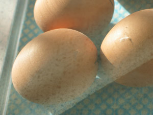 Living Eggs NSW Pic 2