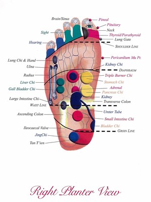 Chi Medics Pic 5 - ChiReflexology Foot Chart