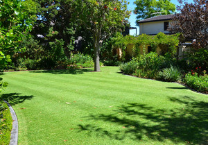 Just Lawns WA Pic 5