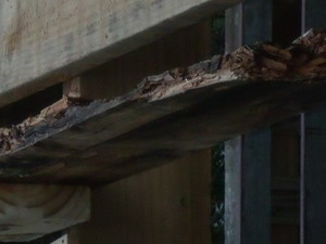 Leigh Kershaw Homes Pic 2 - This is what happens when the builder uses indoor timber to build an outdoor deck