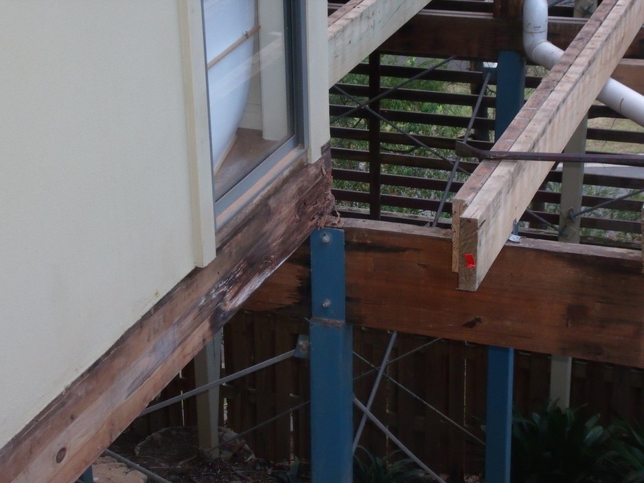 Leigh Kershaw Homes Pic 1 - A rotten beam that is holding the corner of the house up Can you imagine the cost if this collapsed The builder wouldnt have to pay Indoor timber used to build an outdoor deck