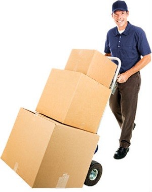 Reliable Sydney Removalists Pic 2