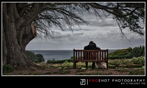 Proshot Photography Pic 2