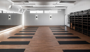 CorePlus Geelong - Pilates Yoga Reformer Pic 3 - Core Plus Mats