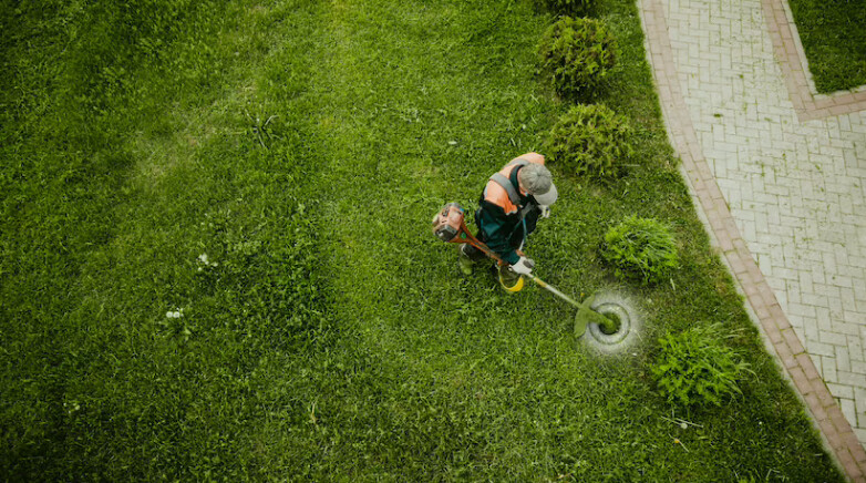 Art of Gardening & Landscaping Pic 1