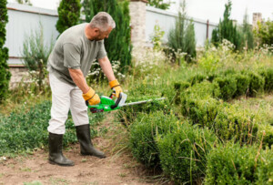 Art of Gardening & Landscaping Pic 3