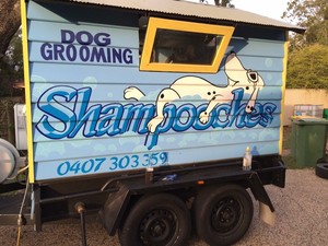 Shampooches Pet Grooming Salon Pic 5