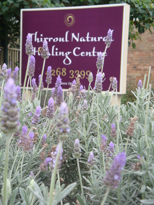 Thirroul Natural Healing Centre Pic 1