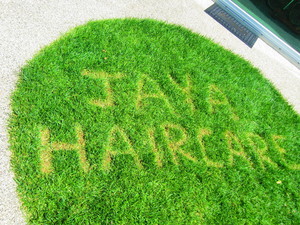 Jaya Haircare @ The TinSnip Hairoom Pic 4 - Grass Graffiti