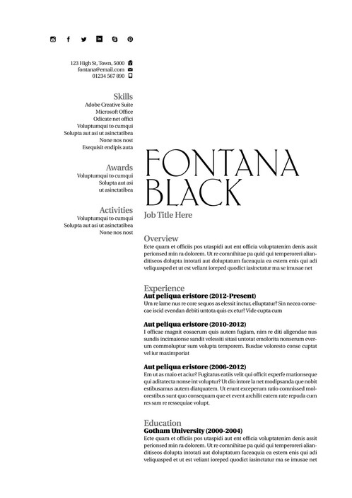 Top Notch Resumes Pic 1 - Fontana in black One of our professionally designed templates on offer