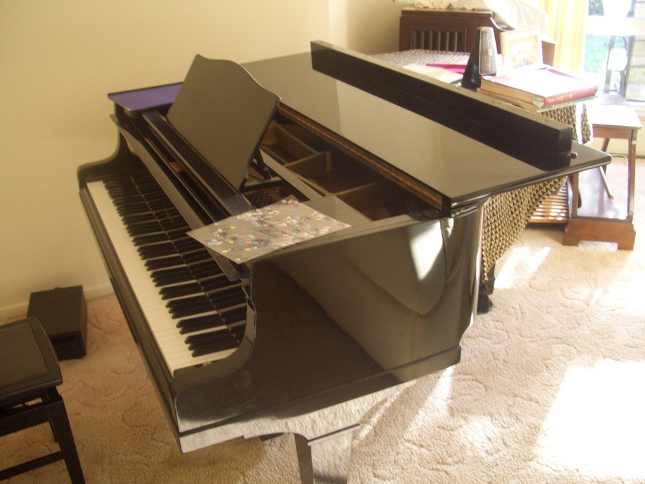 All Aboard Private Piano Lessons Pic 1