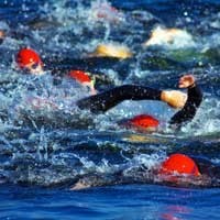 Sydney Swimmers Pic 2 - Triathlon Ocean Swimming is our speciality