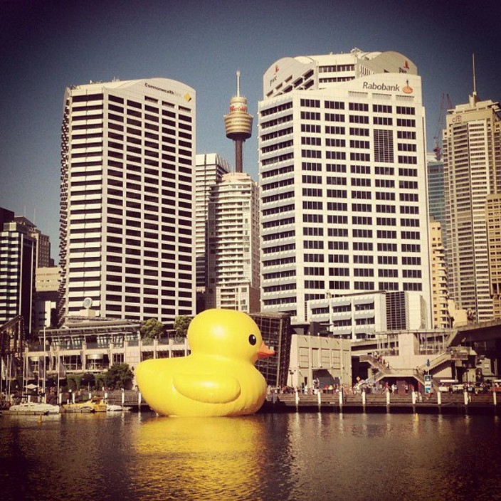 Darling Harbour Marina Pic 2 - Nostalgic giant rubber duckie on show recently at Darling Harbour