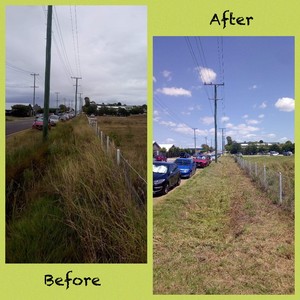 Chris' Home and Lawn Services Pic 3 - Clearing out a commercial property in readiness for surveyors and development