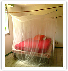 Mosquito Nets On-Line Pic 1 - rectangular mosquito net