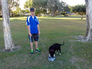 Ultimate Pet Care Sunshine Coast Pic 4 - Ali enjoying a drink after her walk