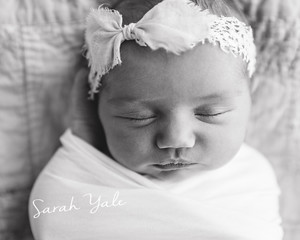 Sarah Yale Photography Pic 3 - Newborn Photography